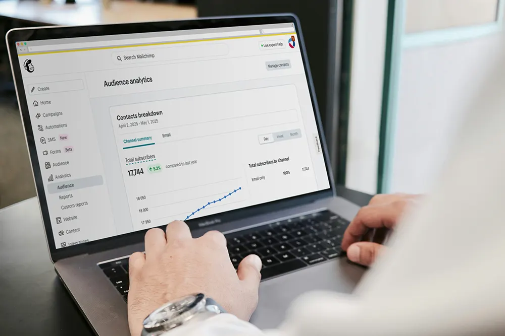 Person viewing an email marketing subscriber list growth chart.