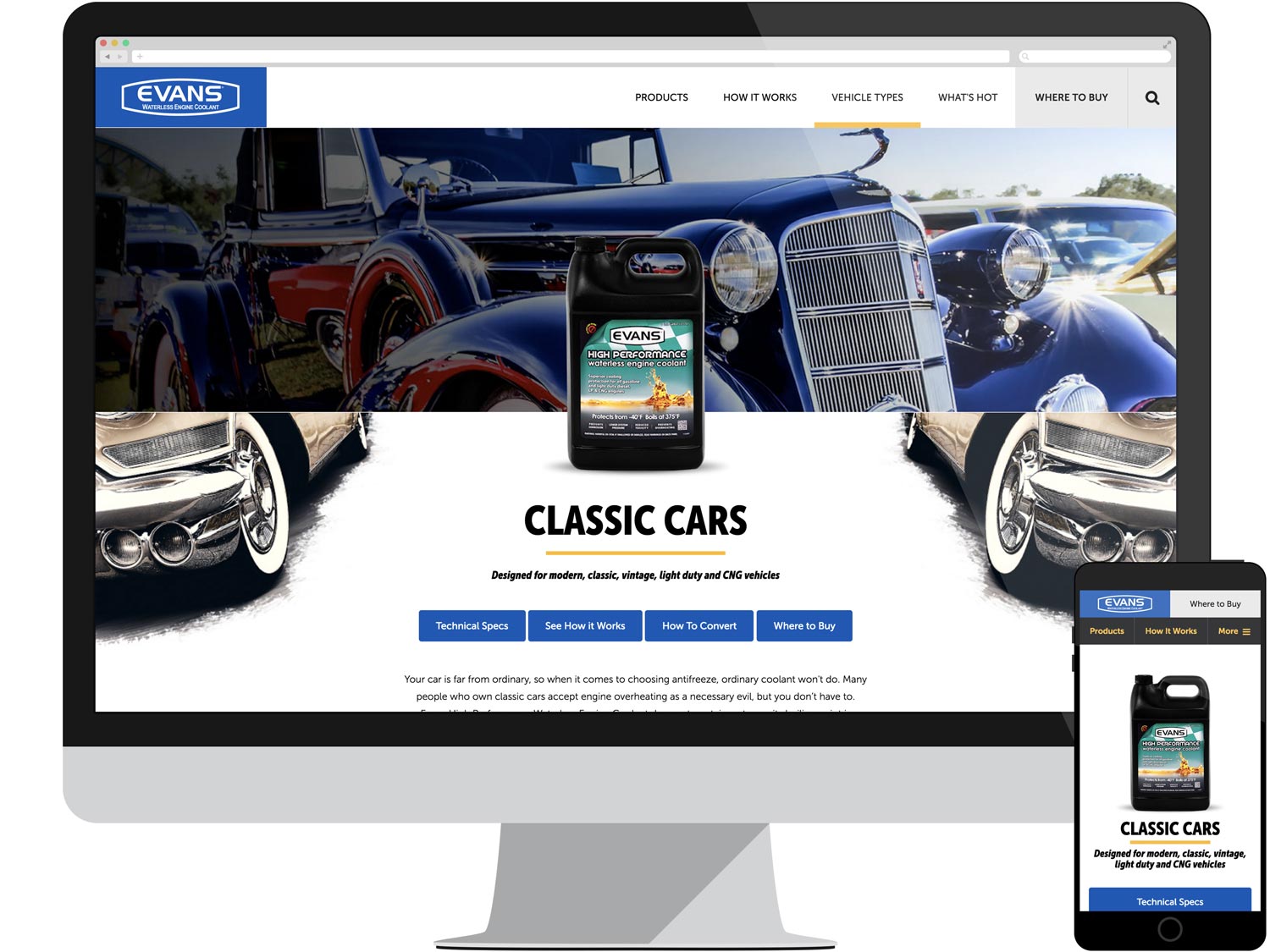 Audience Page - Classic Cars