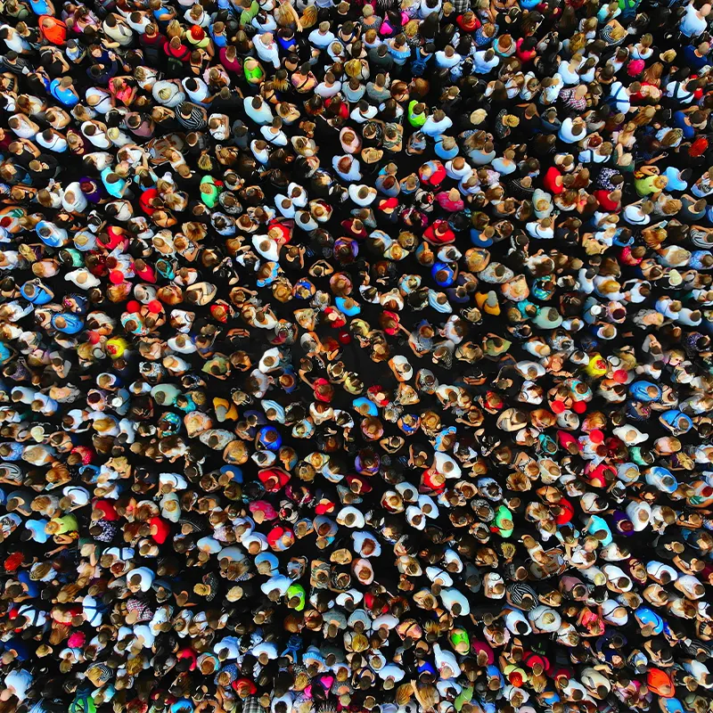 How to Get More Customers With <span>Local Search Engine Optimization</spn>