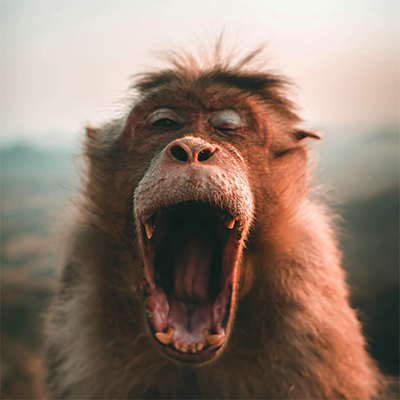 Boring but Essential Things Your Website Must Have