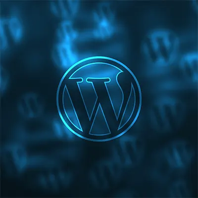 Should You Use WordPress for Your Website?