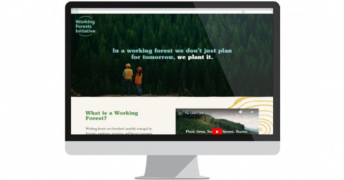 Working Forests Initiative Launches New Website