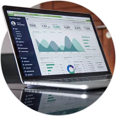 Custom Reporting and Dashboards